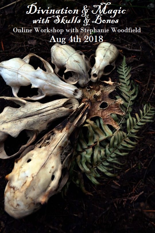 bone class july 28 second